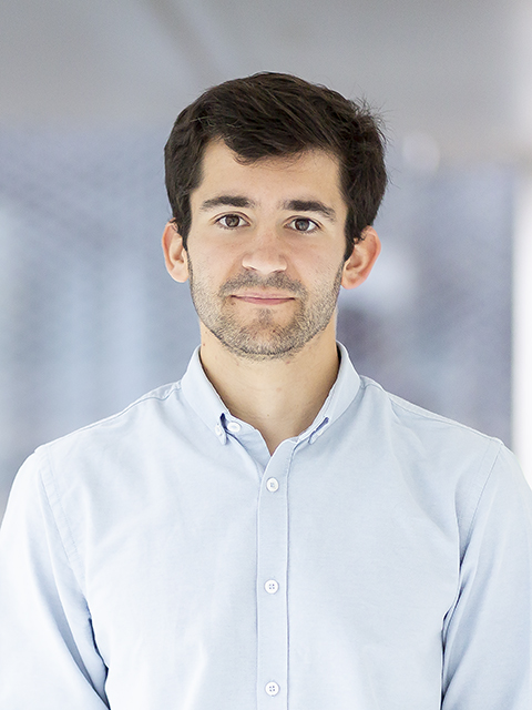 Joaquin Arellano Goicoechea