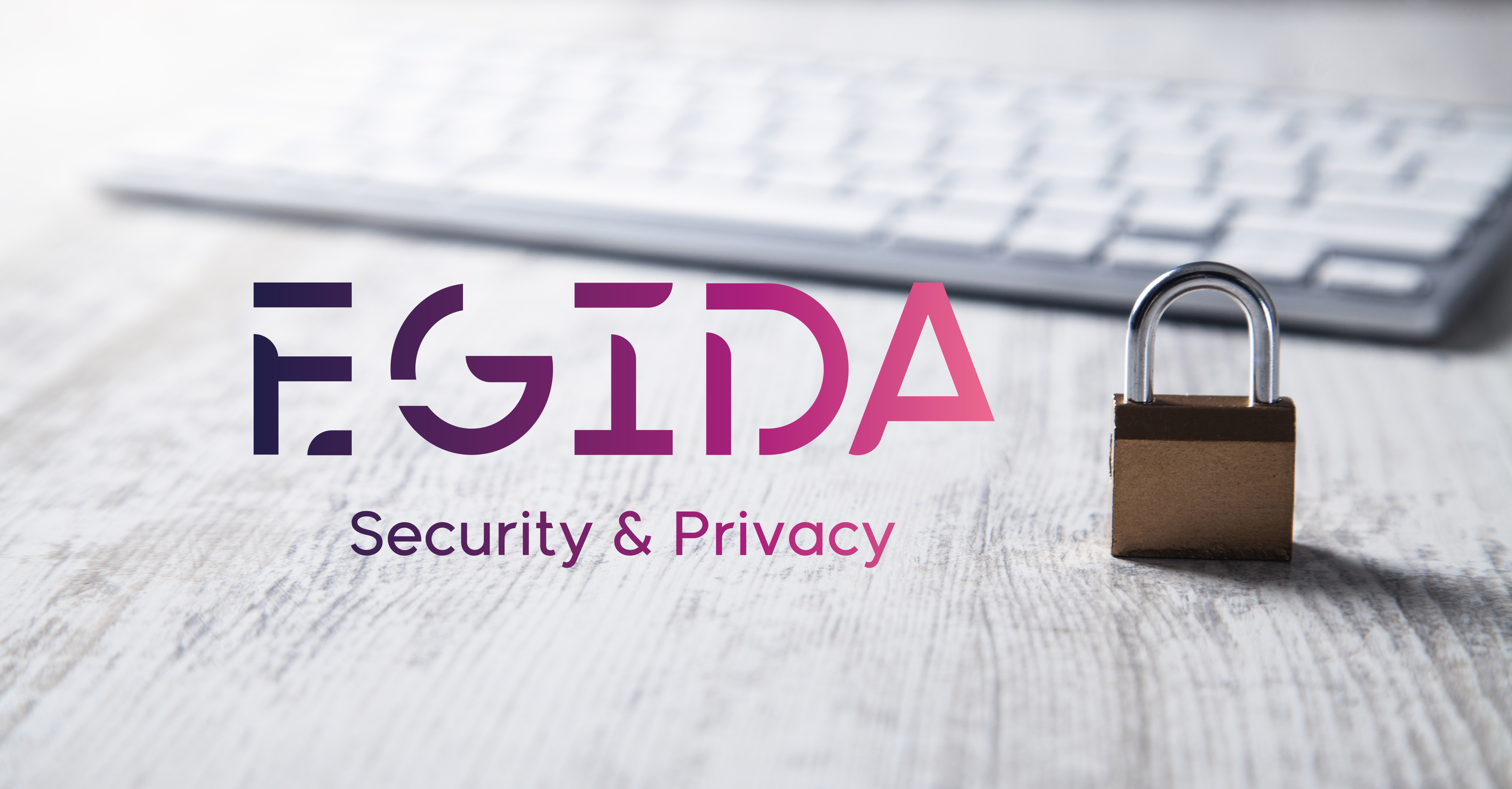 Vicomtech and Ikerlan participate in EGIDA, the only national network of excellence for privacy protection