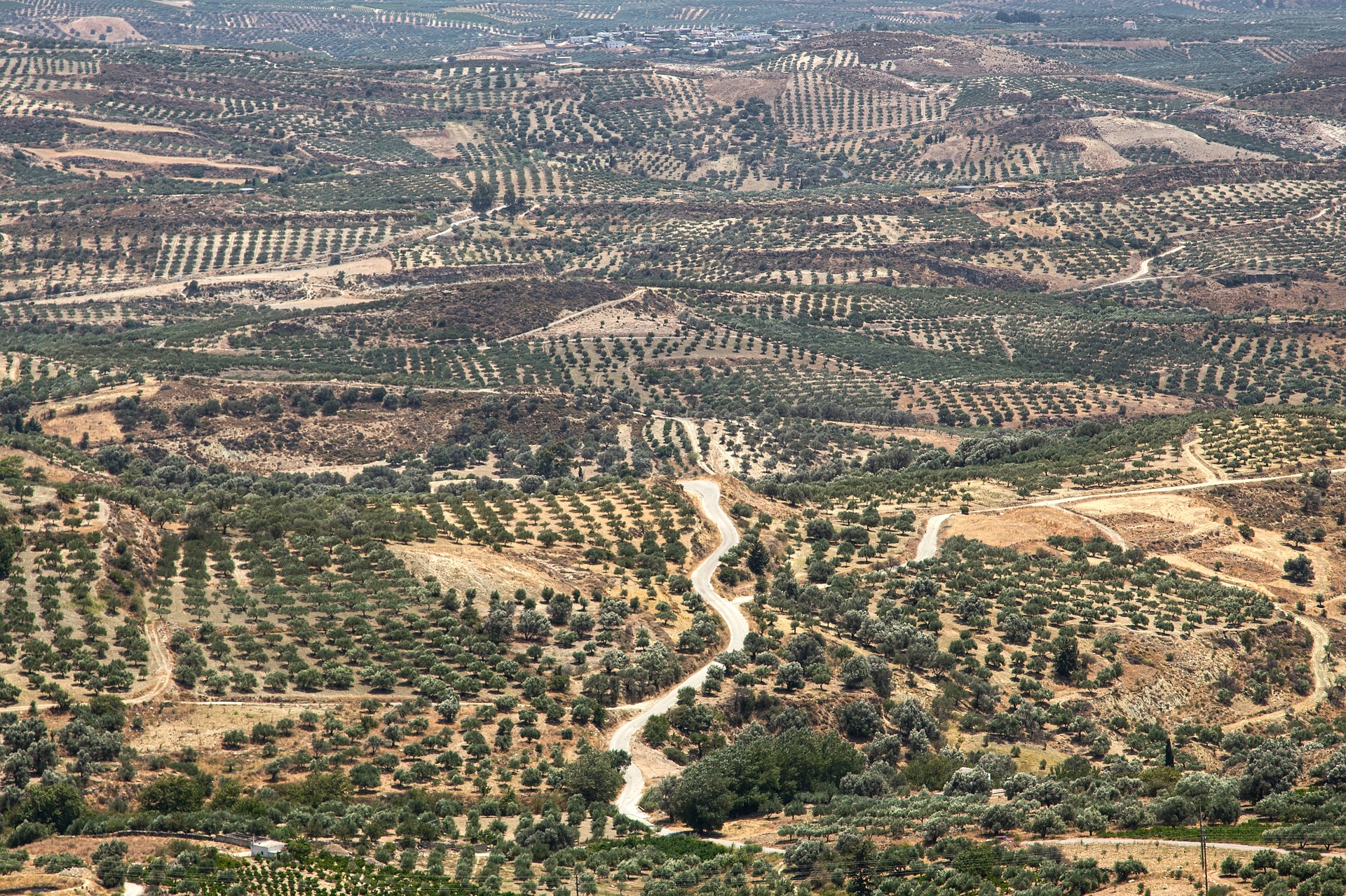 El futuro del sector agroalimentario europeo pasa por la transformación digital