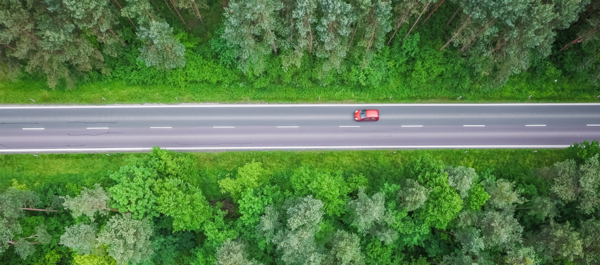 Sistemas de asistencia para conductores basados en visión 